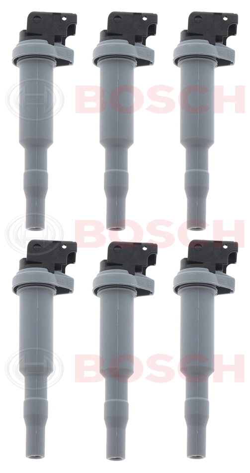 BOSCH Set of 6 Ignition Coil for BMW Models with Delphi Version Coil 0221504800